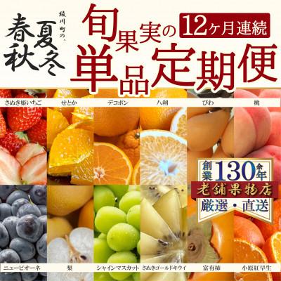 ふるさと納税 坂出市 【発送月固定定期便】坂出市四季のオススメ!旬果実単品定期便♪全12回