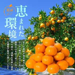 V7451_田村みかん／5kg秀品【大玉サイズ】/ 紀州和歌山有田郡湯浅町田村地区産 / 最高級プレミアムブランドの田村ミカン 
/ 紀伊国屋文左衛門本舗(お届け日指定不可)