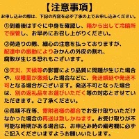  【早期予約 2025年1月中旬より順次発送】 訳あり ポンカン 南国 高知 立目 4kg 柑橘 フルーツ みかん 産地直送 家庭用 須崎市 高知県