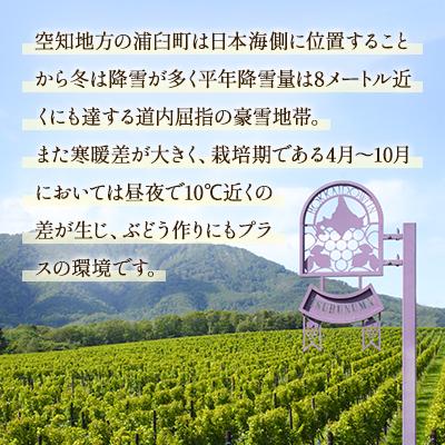 ふるさと納税 浦臼町 鶴沼収穫ワイン【レンベルガー】赤ワイン 2019年産 |  | 01