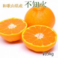 【濃厚】和歌山県産不知火約5kg(2L～4Lサイズおまかせ)