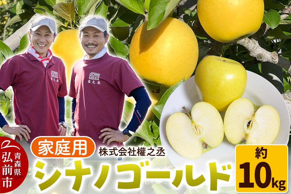 
                  【26年10月下旬～発送】りんご シナノゴールド【家庭用】約10kg 權之丞 青森りんご 青森県 弘前市 果物 フルーツ 林檎 リンゴ くだもの 不揃い 規格外 [産地直送 弘前市産 アップル おいしい 果実 美味 甘い 黄色]
                