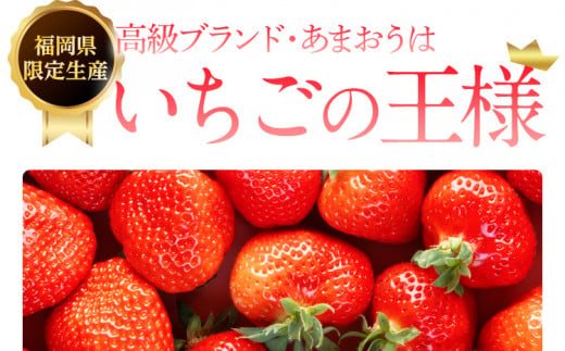 【アフター保証】いちご あまおう 大木町 約270g×4パック 合計1080g 【2026年1月～3月に順次出荷予定】 イチゴ あかい まるい おおきい うまい CB223