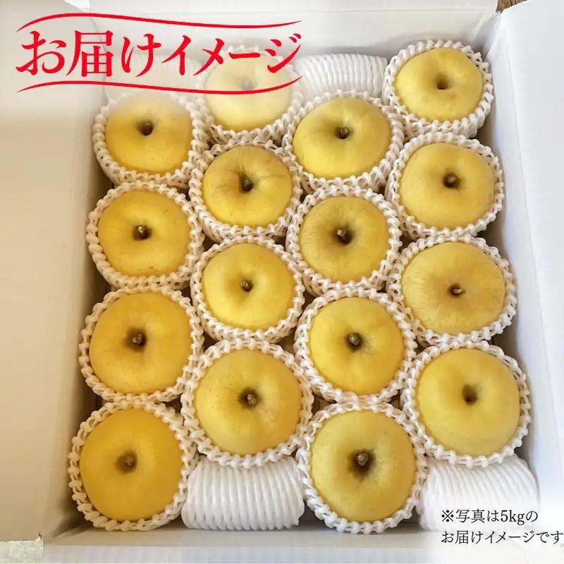 【12月上旬~発送】 贈答用 りんご はるか 5kg 先行予約 ふじむら農園 fujimura010