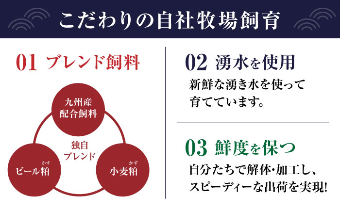 【全6回定期便】 赤身 馬刺し 食べ比べ セット 約420g【有限会社 九州食肉産業】 純国産 希少 山鹿 ヘルシー 低カロリー [ZDQ012]