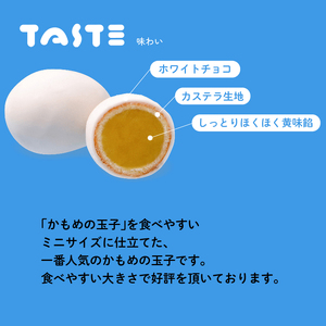 かもめの玉子 ミニ 4個入×5パック (計20個) お菓子 銘菓 大船渡 さいとう製菓