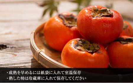 【富有柿の発祥の地　瑞穂市！！】富有柿 贈答用 L×14個入り｜果物類 ※離島への配送不可 ※2025年11月下旬頃より順次発送予定送予定