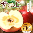 【ふるさと納税】【りんごの王様を農園から】サンふじ 5kg | ふるさと納税 果物 くだもの フルーツ サンふじ リンゴ りんご 林檎 信州産 長野県 松本市