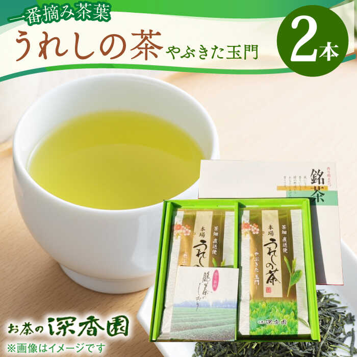 【ふるさと納税】一番摘み茶葉使用 うれしの茶 2本入（やぶきた 玉門 100g×2本） /お茶の深香園[UAF006] 茶 お茶 緑茶 茶葉