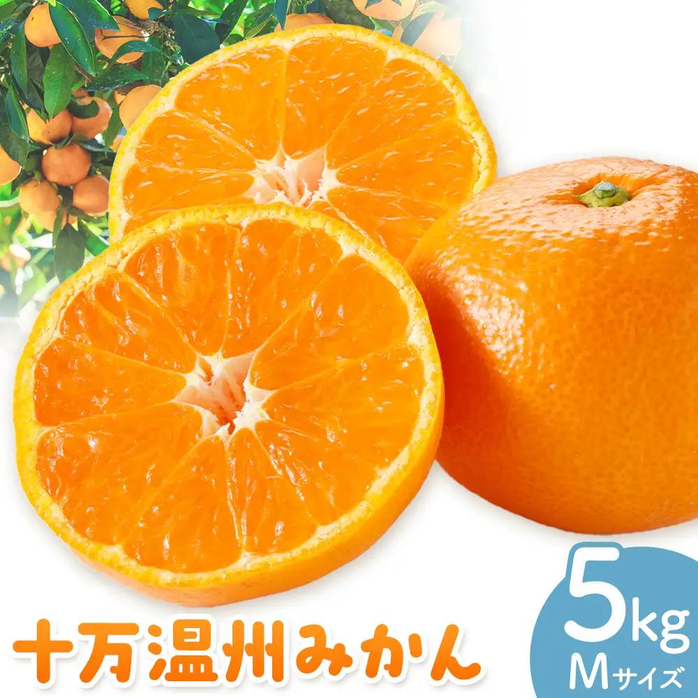 十万温州みかん M 5kg 田野農園《12月中旬-3月中旬頃出荷》鹿児島県 さつま町