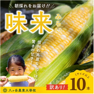 
                  【2026年出荷分】(訳あり)フルーツのような甘さ『皮付き』生とうもろこし10本【1738515】
                