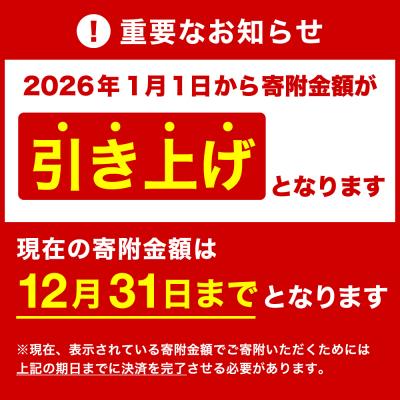 ふるさと納税 関市 【12月31日までこの金額!】remy 【クロの包丁】【ナイフなハサミ】2点セット |  | 02