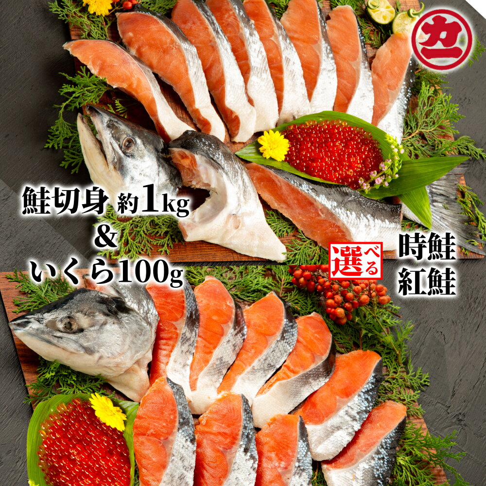 【ふるさと納税】塩紅鮭 塩時鮭 姿切身 ますいくら醤油漬け セット | 鮭 さけ シャケ しゃけ サケ 切身 切り身 紅鮭 時鮭 いくら イクラ グルメ プレゼント ギフト 海鮮 海鮮食品 ふるさと納税 納税 北海道 紋別市