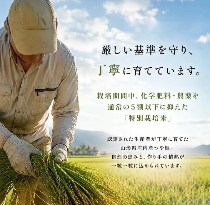 SH0099　10月下旬発送開始／【6回定期便】［精米］特別栽培米 つや姫　5kg×6回(計30kg) JM