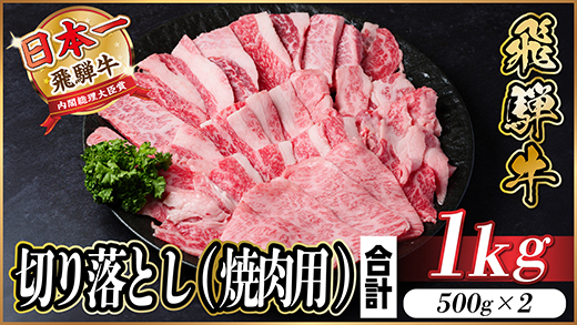 【訳あり】飛騨牛 切り落とし(焼肉用) 1kg【配送不可地域：離島】