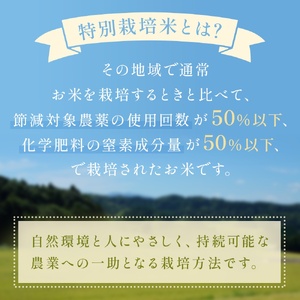 令和7年産 富山県産 特別栽培米 コシヒカリ 天神の里 ５kg ｜特別栽培米