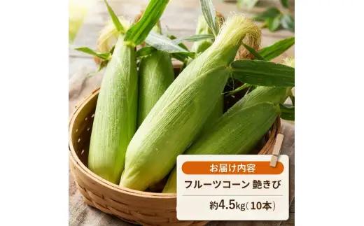 【2027年先行予約】 【とうもろこし】 南国フルーツコーン 艶きび 10本 とうもろこし