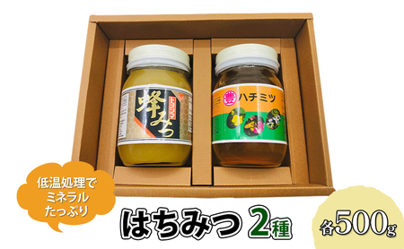はちみつ セット 各500g×2個 レンゲブレンド はちみつ