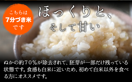 【12ヶ月定期便】令和5年産 小さな竹美人 7分づき 米 4kg(2kg×2袋) 株式会社コモリファーム《お申込み月の翌月から出荷開始》