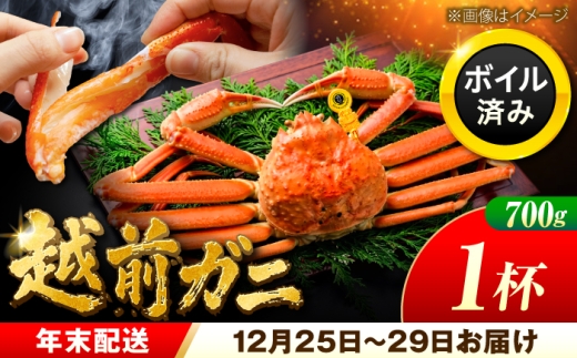 【先行予約/12月25日より順次発送】【年末希望】 越前がに 700ｇ×1杯 ズワイガニ ずわいがに ボイル 冷蔵 小浜市 / まるほ商店 【配送不可地域：北海道・沖縄・離島】[BFCS036]