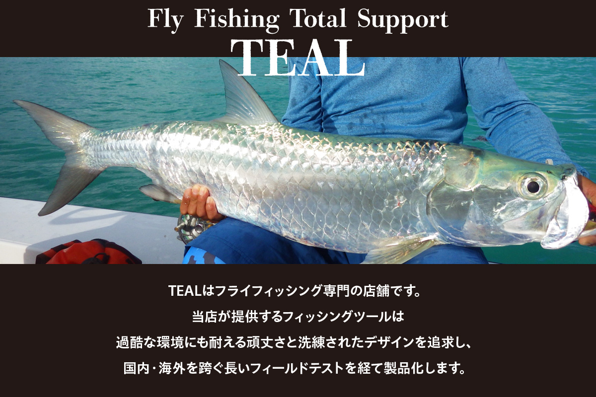 Wild Spec/FS2.#9/10.series　マットシルバー＆ティールブルー