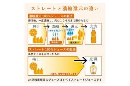 【早和果樹園】飲むみかん12本入（180ml）(B613-4)