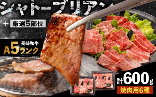 〈シャトーブリアン入り〉希少部位 焼肉 6種食べ比べセット 600g(各100g) / シャトーブリアン サーロイン カルビ モモ ロースザブトン ミスジ トモサンカク イチボ ランプ しゃとーぶりあん 焼肉 長崎和牛 国産 牛肉 和牛 a5 焼肉 やきにく 焼き肉用 セット / 諫早市 / 野中精肉店[AHCW146]