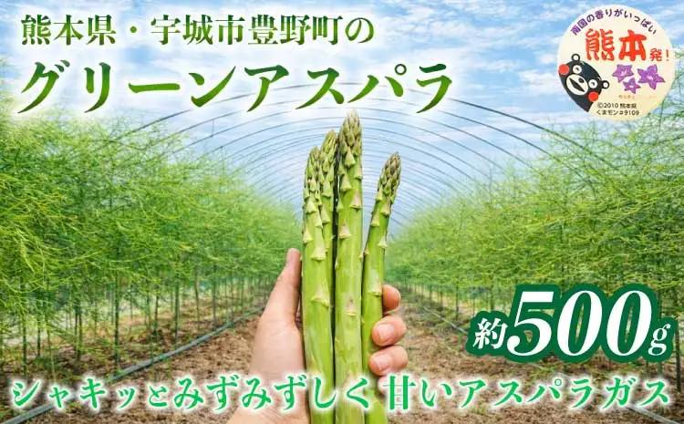 グリーンアスパラ  約500g (S～L)【2026年3月上旬～6月下旬発送予定】