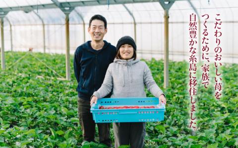 【予約：2024年1月上旬より順次発送】完熟あまおう 270g×4パック ≪糸島≫【slowberry strawberry】いちご/苺/フルーツ/果物 [APJ001]