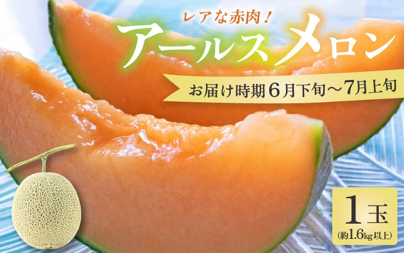 
            【先行予約】【赤肉】アールスメロン 1玉（約1.6kg以上）赤肉品種 高級メロン！ ／ マスクメロン 大玉 果物 フルーツ 夏 ギフト 農家直送 ※2025年6月下旬以降順次発送予定 [aw065-a003]
          