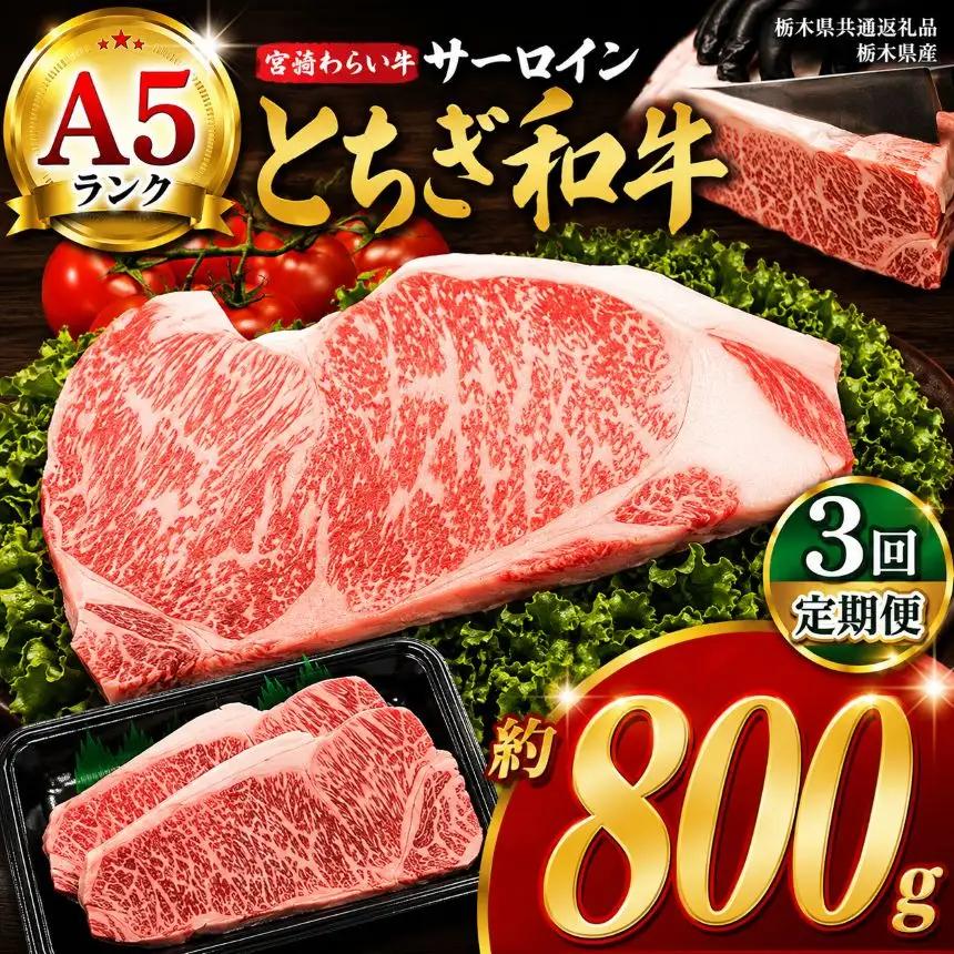 【定期3回】宮福笑牛（とちぎ和牛） A5 サーロインステーキ　約200g×4枚【栃木県共通返礼品】
