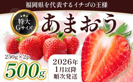 ＜先行予約受付中！2026年1月上旬以降順次発送予定＞ 福岡県産 あまおう (計500g・250g×2パック) いちご イチゴ 苺 ストロベリー 果物 フルーツ おやつ デザート スイーツ 福岡県 小分け アマオウ 1月発送 期間限定 数量限定 冷蔵 【エフビーネット】as47-003