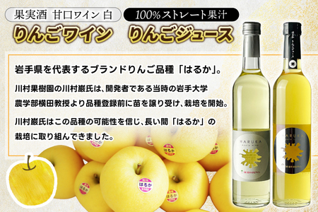 はるか りんごジュース・りんごワイン セット【ジュース 果汁100％ ストレートジュース フルーツジュース ワイン 岩手県 紫波町産 りんご】 (EX003)