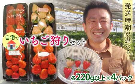 自宅でいちご狩りセット ＜淡雪・赤い苺3種類＞【2026年1月4日〜3月31日発送】 (各220g以上×4パック) 群馬県産 オリジナル品種 いちご 苺 イチゴ 白いちご 淡雪 食べ比べ セット 詰合せ 果物 フルーツ 食品 F21E-248