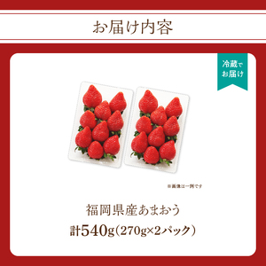 福岡県産あまおう 270g×2パック【2026年3月発送開始】 あまおう いちご 苺 イチゴ フルーツ 果物 くだもの 人気 旬 福岡県産 270g 2パック 産地直送 冷蔵配送 クール便 先行予約 