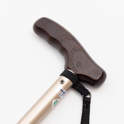 ふるさと納税 北名古屋市 国産アルミ製　T字杖　TY125 |  | 01