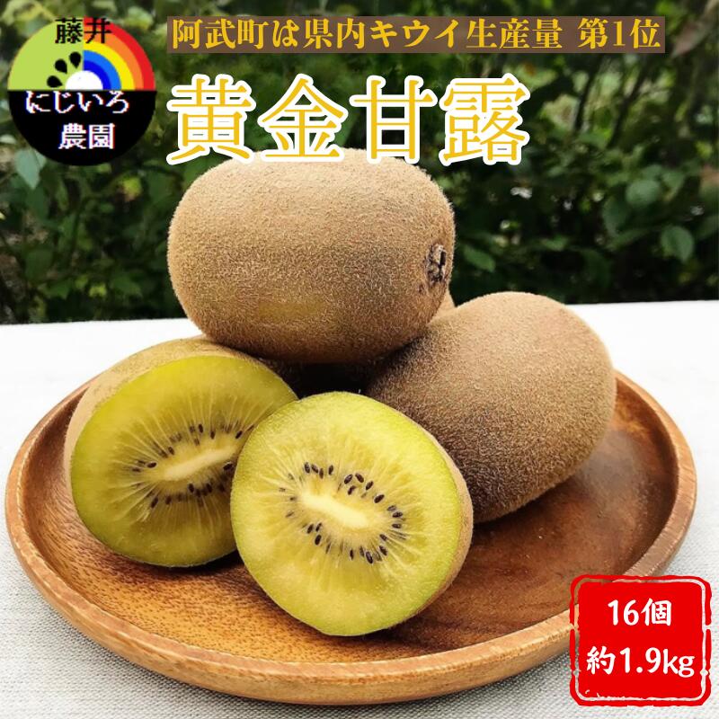 【ふるさと納税】【先行予約】キウイ フルーツ 黄金甘露 約1.9kg 希少品種 甘くてジューシー 早生品種 フルーツ 果物 旬 《お届け：2025年9月20日頃～2025年10月20日頃出荷》 山口県 阿武町産 デザート