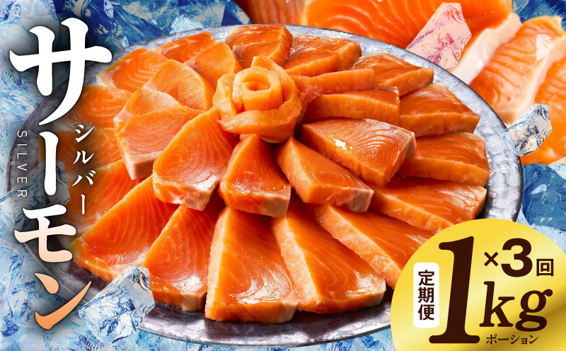サーモン 定期便 1kg×全3回【ポーション 訳あり サイズ不揃い 刺身 海鮮丼 さーもん サラダ カルパッチョ 鮭 さけ シャケ しゃけ 人気 小分け 冷凍 家計応援 大阪 泉佐野 大阪府 泉佐野市】