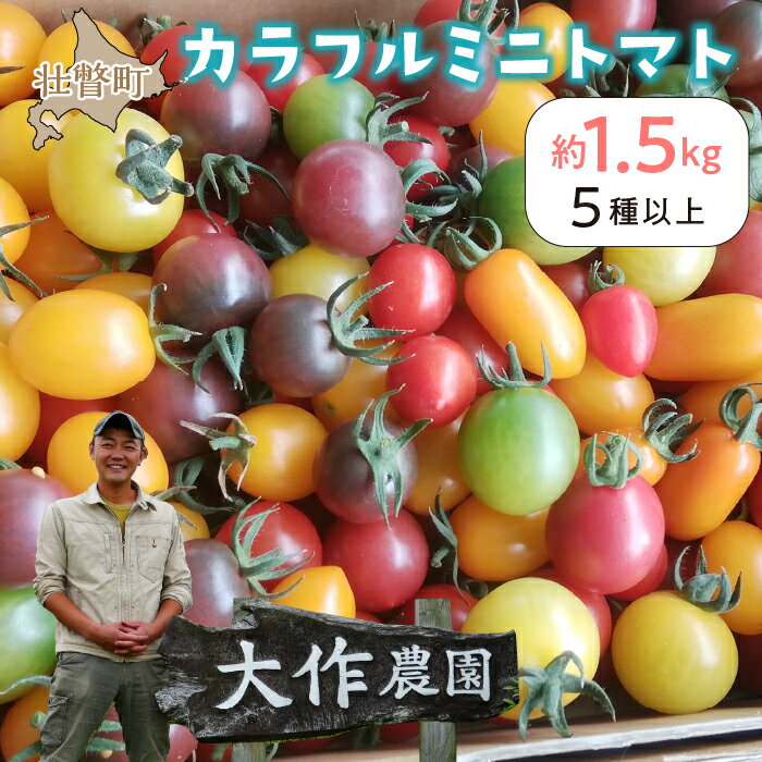 【ふるさと納税】＜2025年7月上旬よりお届け＞北海道壮瞥産 大作農園のカラフルミニトマト約1.5kg(5種以上) ふるさと納税 人気 おすすめ ランキング トマト とまと ミニトマト アイコ 野菜 おいしい 大容量 北海道 壮瞥町 送料無料 SBTR002
