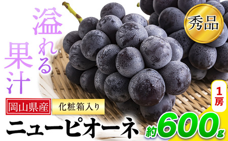 秀品 ニューピオーネ 約600g 1房 《9月中旬～11月上旬頃に出荷予定(土日祝除く)》｜ピオーネ ニューピオーネ 岡山県産ピオーネ