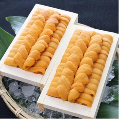 ふるさと納税 根室市 エゾバフンウニ90〜100g×2折[10月下旬以降発送] C-71004