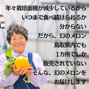 メロン 5kg 4玉 － 6玉 クレオパトラ 2 湯梨浜 | 19M