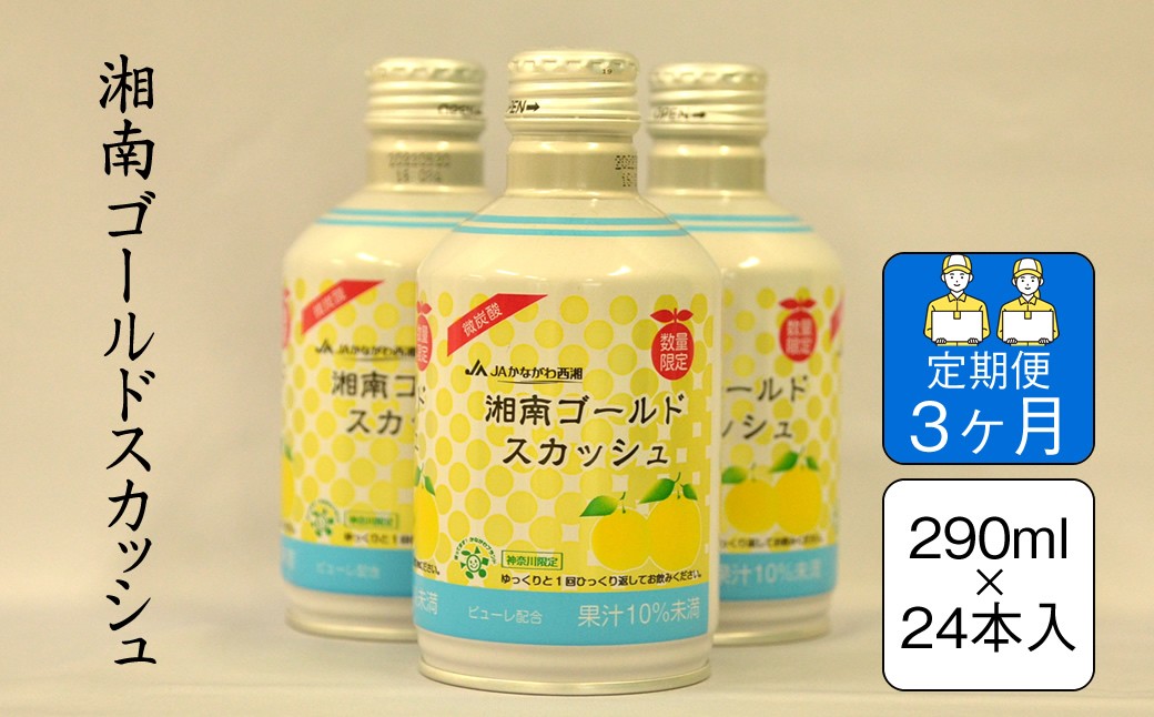 
                  【定期便3ヶ月】湘南ゴールドスカッシュ　290ml×24本入り【 神奈川県 山北町 】
                