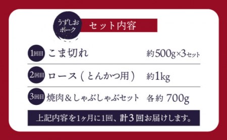 【ブランド豚】【3回定期便】【訳あり】うず潮ポーク 定期便 国産豚 ＜スーパーウエスト＞[CAG250]