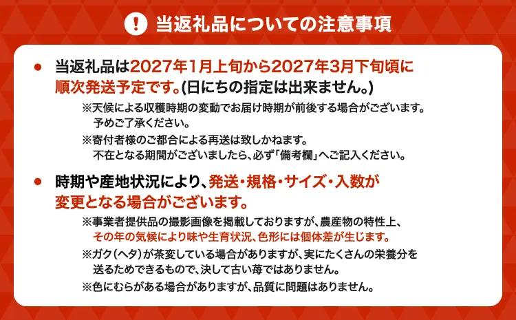 いちご 先行予約 【2027年3月発送】季節限定！ 新鮮朝摘みいちご「さがほのか」約1.5kg （250g×6パック） 