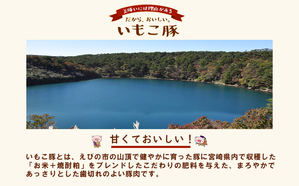 【6回定期便】豚肉 宮崎県産 いもこ豚 小間切れ 1.5kg 計 9kg 定期便 6回 しゃぶしゃぶ 小分け 豚 スライス 薄切り こま切れ 細切れ こまぎれ 豚丼 国産 九州産 宮崎 ブランド 冷凍 送料無料