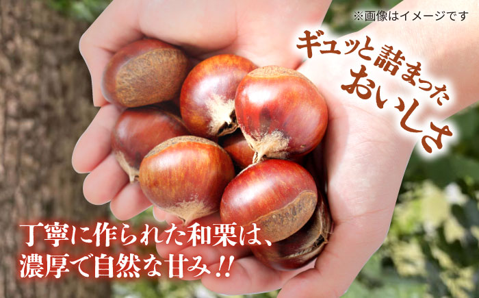むき栗 約1kg（約250g×4pc） 【すみれファーム】 [ZEP060]
