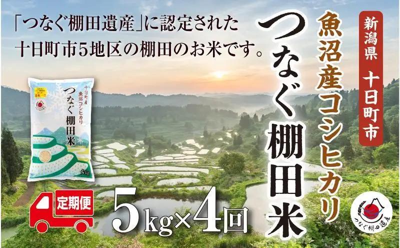 【令和8年産 先行予約】【定期便／全4回】精米5kg　新潟県十日町市魚沼産コシヒカリ「つなぐ棚田米」 米 こしひかり 精米 定期 十日町市