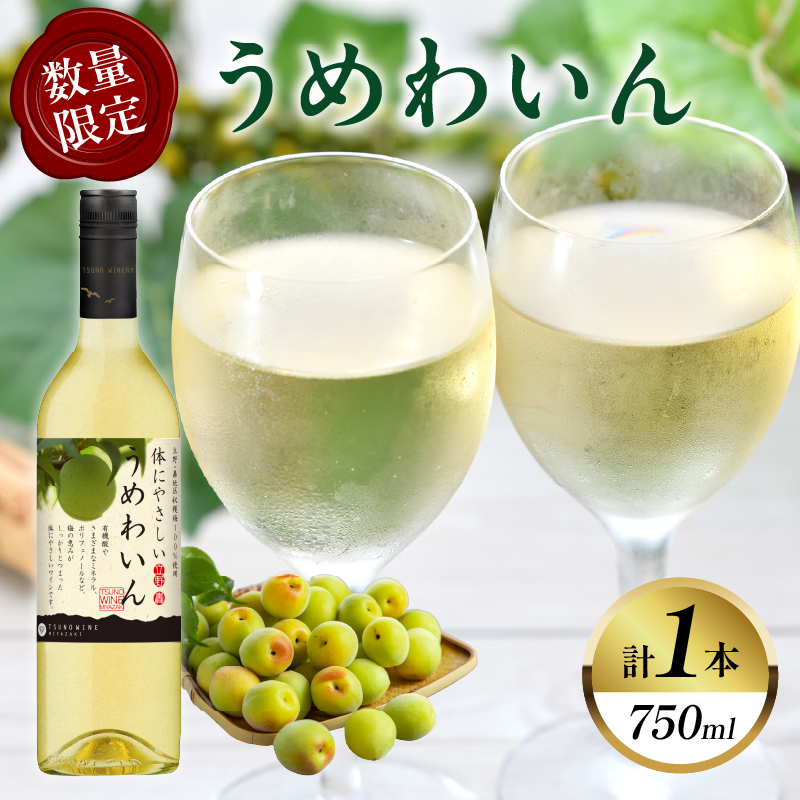 【数量限定】うめわいん(計1本) _T014-0295【酒 飲料 アルコール 国産 人気 ギフト 飲料 食品 お酒 お土産 限定品 贈り物 送料無料 プレゼント】