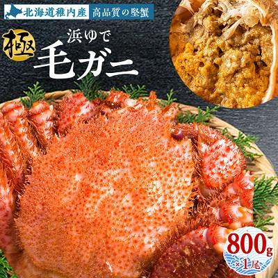 ふるさと納税 稚内市 【稚内産・極】  浜ゆで毛ガニ(堅蟹) 800g×1尾